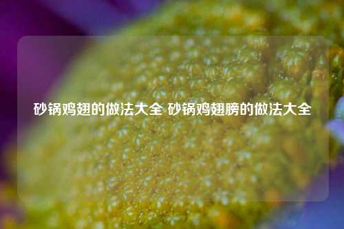 砂锅鸡翅的做法大全 砂锅鸡翅膀的做法大全