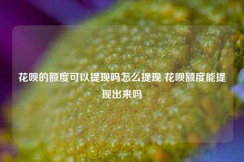 花呗的额度可以提现吗怎么提现 花呗额度能提现出来吗