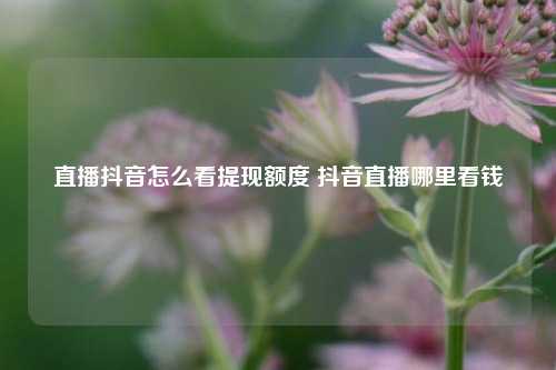 直播抖音怎么看提现额度 抖音直播哪里看钱