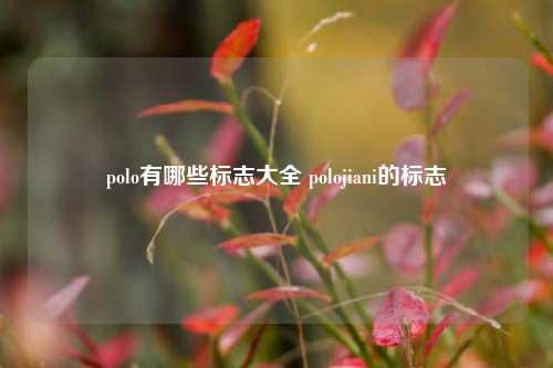 polo有哪些标志大全 polojiani的标志