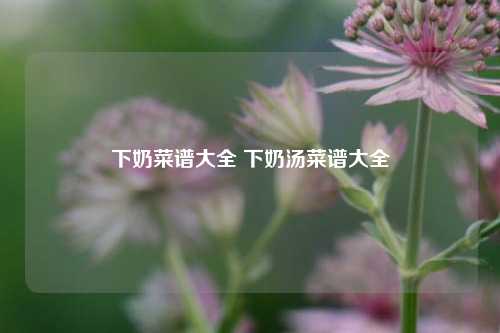 下奶菜谱大全 下奶汤菜谱大全