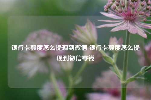 银行卡额度怎么提现到微信 银行卡额度怎么提现到微信零钱