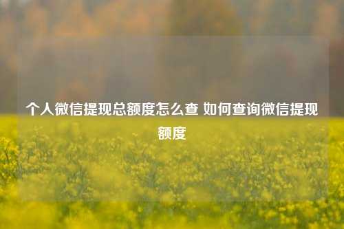 个人微信提现总额度怎么查 如何查询微信提现额度