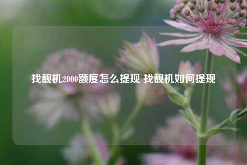 找靓机2000额度怎么提现 找靓机如何提现