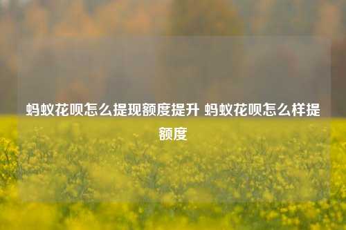 蚂蚁花呗怎么提现额度提升 蚂蚁花呗怎么样提额度